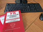 Несовершеннолетний житель Плесецкого района предстанет перед судом по обвинению в открытом хищении чужого имущества
