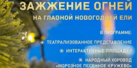 Открытие главной городской ёлки состоится в середине декабря - Администрация г. Архангельск