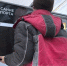 Фото: News29 - News29.Ru