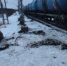 Фото: Северо-Западная транспортная прокуратура - News29.Ru