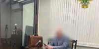 Вынесен приговор по уголовному делу в отношении генерального директора ООО «Поморский лесной технопарк» за масштабную незаконную рубку леса под видом инвестиционного проекта - Arh112.ru