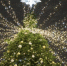 Фото: News29 - News29.Ru