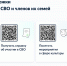 Информационные ресурсы о мерах социальной поддержки для участников специальной военной операции и членов их семей - СГМУ
