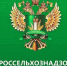 Северодвинский предприниматель уличен в неправильном хранении лекарственных препаратов - Tv29.Ru