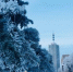 Фото: News29 - News29.Ru