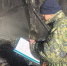 В Поморье следователи выясняют причины гибели пенсионерки в ходе пожара в дачном доме - Tv29.Ru