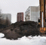 Фото: News29 - News29.Ru