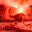 Фото: Агентство ГПС и ГЗ Архангельской области - News29.Ru