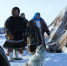 В Берлине покажут фильмы кинофестиваля Arctic open - ИА Dvina29