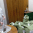 Поступление образцов семян свежей заготовки 2026 года на госконтрольную проверку - Рослесозащита