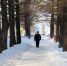 Фото: News29 - News29.Ru