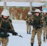 В Северодвинске прошла военно-спортивная эстафета «Внуки Маргелова» - ИА Dvina29