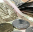 Фото: News29 - News29.Ru