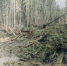 Фото: прокуратура Архангельской области - News29.Ru