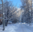 Фото: News29 - News29.Ru