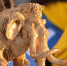 «Полярный десант» отправится в районы Архангельской области в 13 раз - ГТРК Поморье