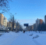 Фото: News29 - News29.Ru