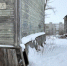 Фото: News29 - News29.Ru