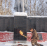 img - ЛДПР