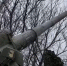 На стыке границ ЛНР и ДНР продолжается наступление российских войск - ГТРК Поморье