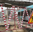 Фото: News29 - News29.Ru