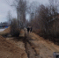В Кулоек благоустраивают участок центральной улицы Ленина. Фото предоставлено министерством ТЭК и ЖКХ Архангельской области - Пресс-центр Правительства