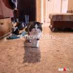 Источник: Василина Любимова / 59.RU