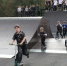 Городской скейт-парк в Архангельске открывает новый сезон - ИА Dvina29