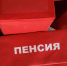 Графики выплаты пенсий зависят от региона и способа доставки | Источник: Алексей Волхонский / V1.RU - 29.Ru