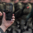 Получить соцпакет на мобильную связь смогут граждане России пенсионного возраста | Источник: Михаил Огнев / FONTANKA.RU - 29.Ru