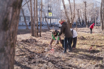Молодежь Архангельской области присоединилась ко Всероссийской неделе субботников