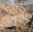 Фото: Народный фронт - News29.Ru