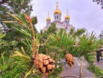 Митрополит Корнилий 3 мая совершил Божественную литургию в Архангельске