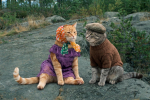 Тренируйся лучше на кошках! Тест для больших любителей советского кино из Архангельской области