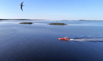 Сегодня в Архангельске протестируют морской беспилотник «Оркан»