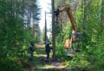 В северодвинском поселке Белое озеро начали работу по улучшению наружного освещения