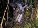В Поморье легковушка с несовершеннолетними врезалась в дерево. Шесть человек пострадали