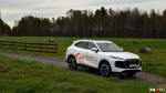Оформление передней части напоминает некоторые версии Chery Tiggo 9, подчеркивая, видимо, надклассовый статус Tenet Plus | Источник: Артем Краснов